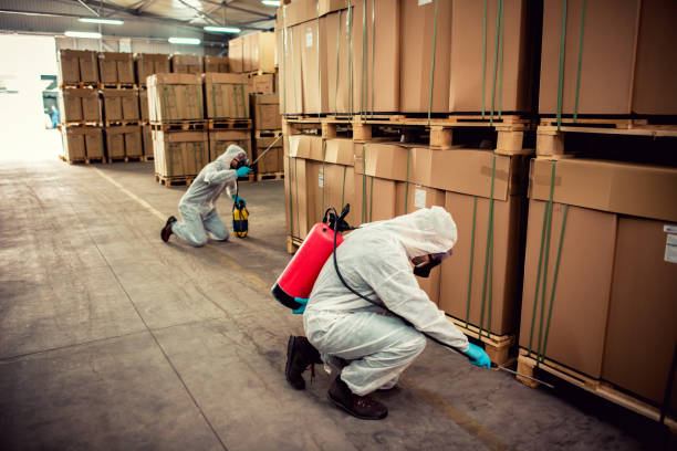 Best Cockroach Control Services  in Shelbyville, IN