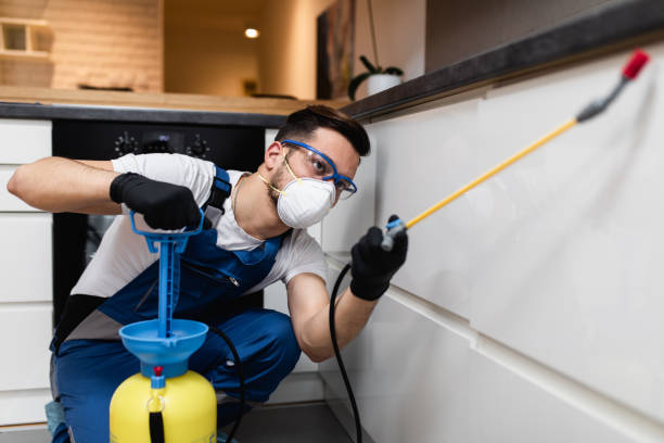 Wasp Removal Services in Shelbyville, IN