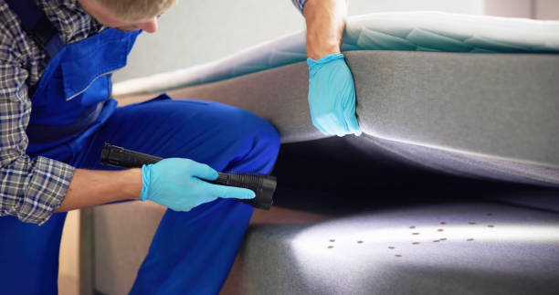 Best Affordable Pest Control Services  in Shelbyville, IN