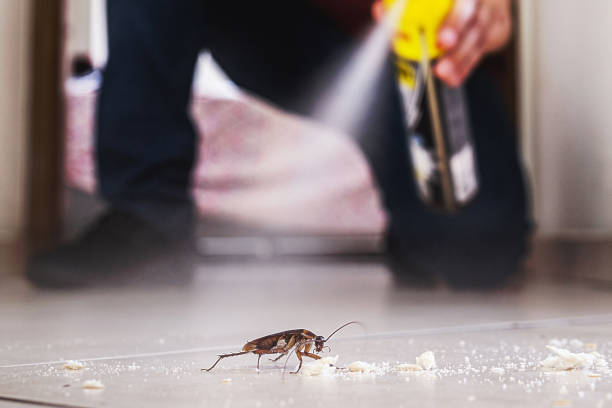 Best Residential Pest Control  in Shelbyville, IN