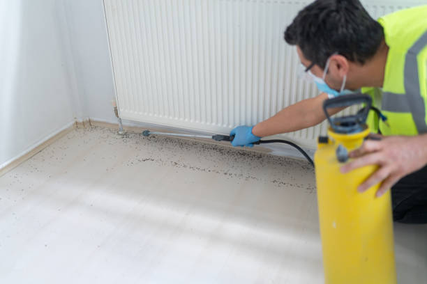 Best Local Pest Control Services  in Shelbyville, IN